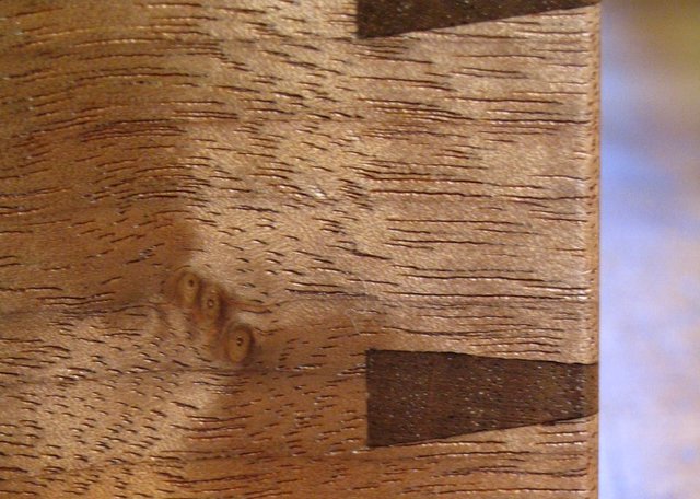 Extreme Close-Up of Dovetail and Planing Tear